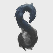 D/S